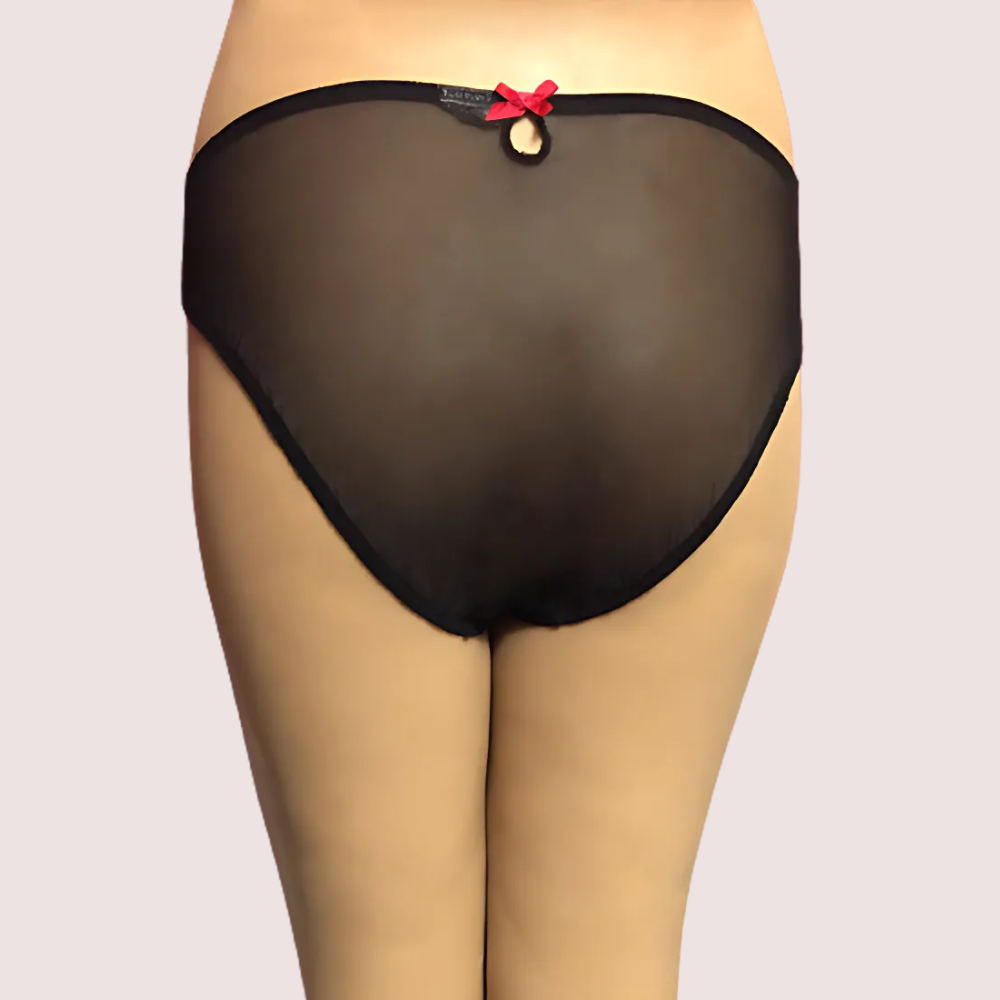 Netted Sexy Keyhole Back Hipster Panty