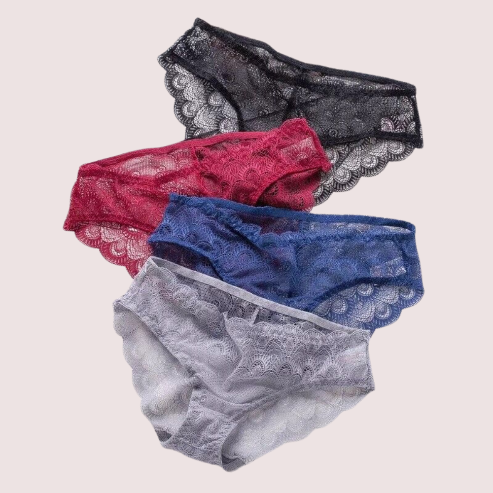 Sexy Sheer Lace Bikini Brief Undies Pack (of 4)